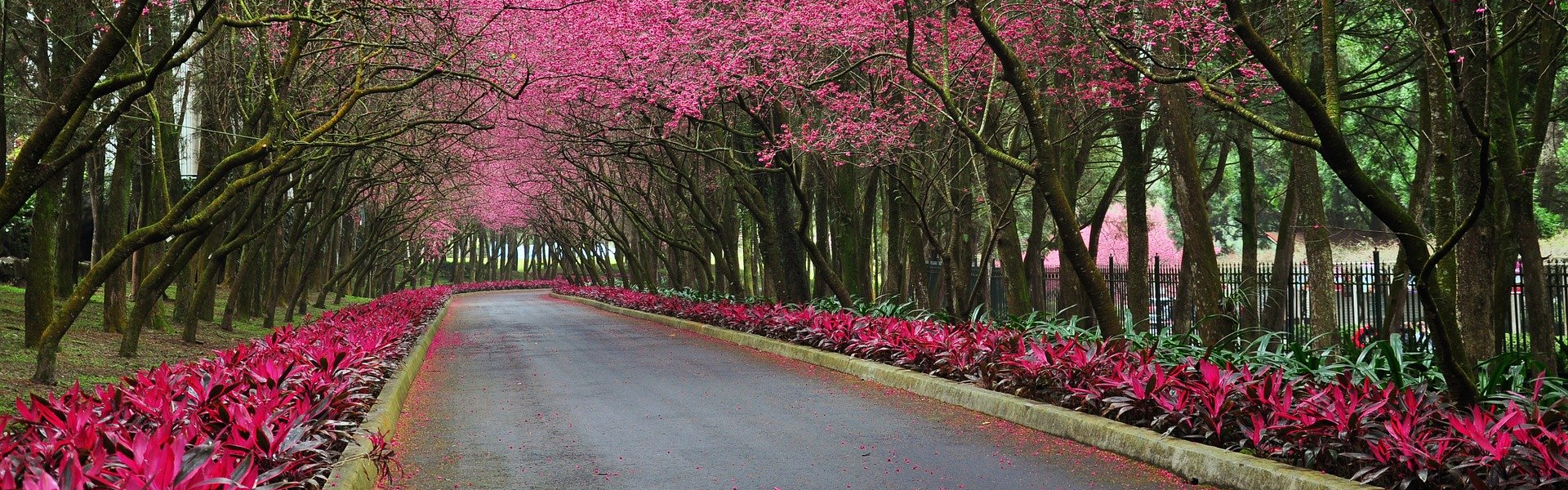 Grupo Espírita Casa de Guará