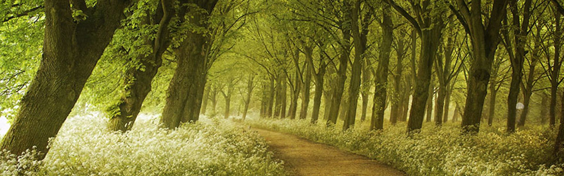 Grupo Espírita Casa de Guará